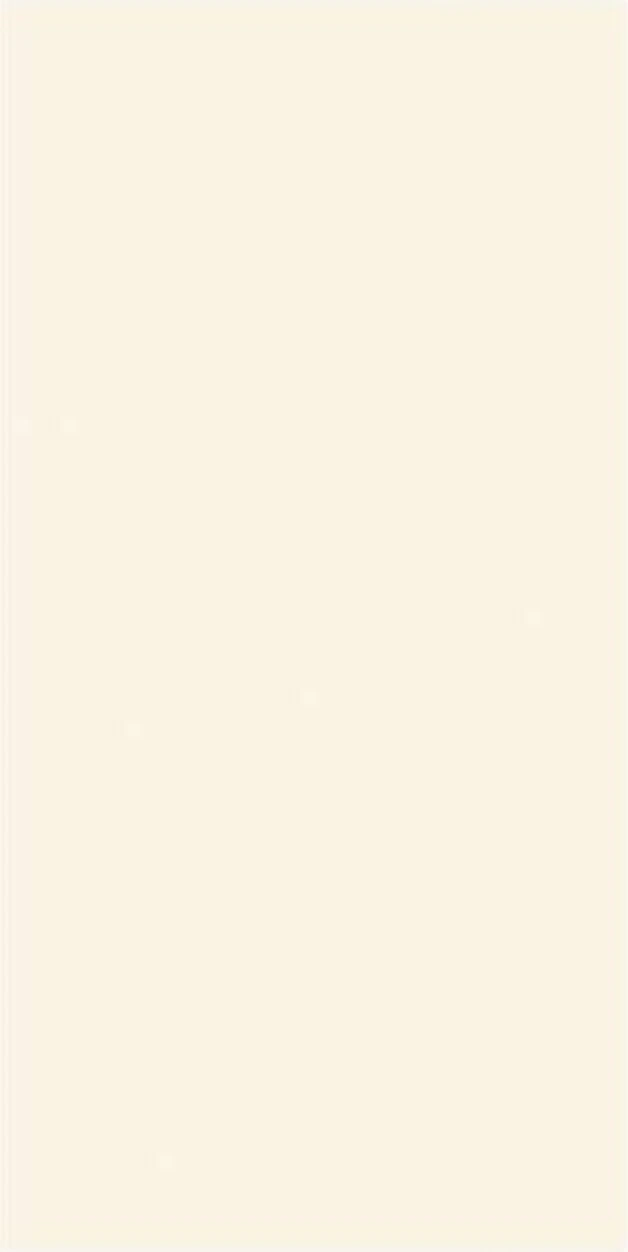 Blanco sintered stone