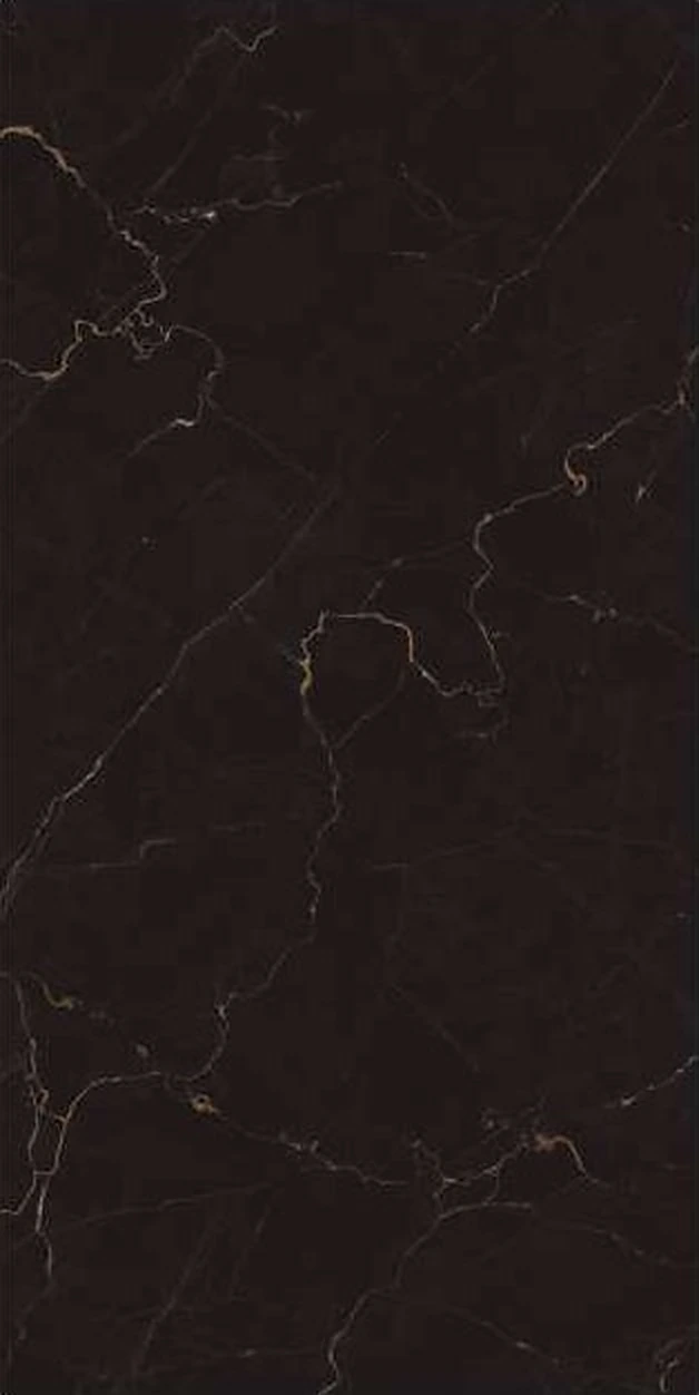 Minotaure Black sintered stone
