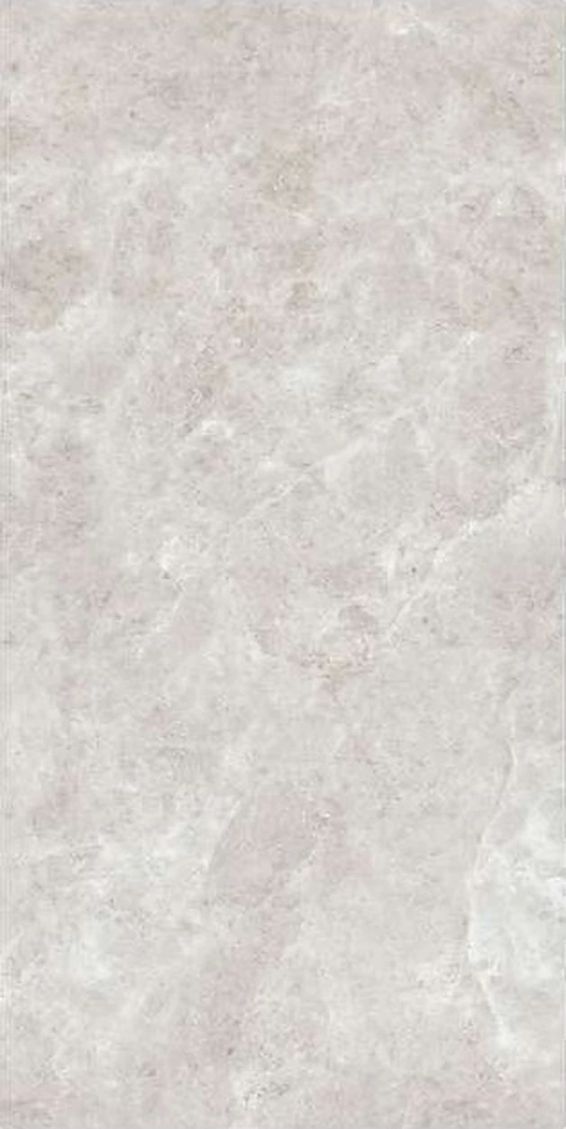 Platinum Leica sintered stone