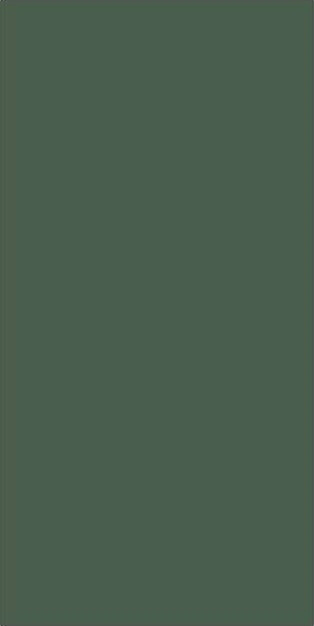 Muschio sintered stone
