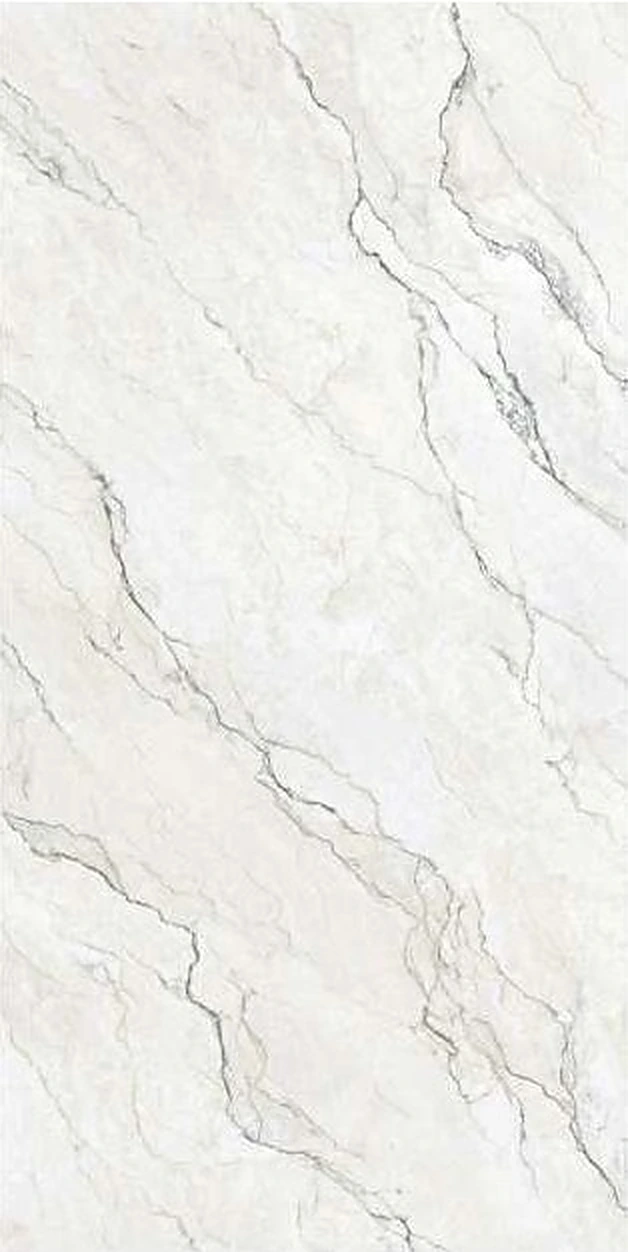 Camouflage White sintered stone
